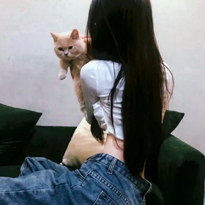 午夜先生小心怪物
